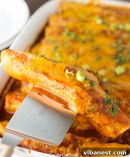 spicy-cheese-and-beef-enchiladas-4.jpg Spicy cheese and beef enchiladas 4