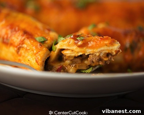 spicy-cheese-and-beef-enchiladas-5.jpg Spicy cheese and beef enchiladas 5