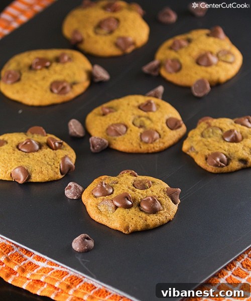 pumpkin chocolate chip cookies 4.jpg Close-up of golden brown pumpkin chocolate chip cookies, showcasing their soft texture and melted chocolate chips.