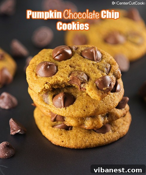 pumpkin chocolate chip cookies 5.jpg A measuring cup being leveled with flour using a knife, demonstrating the proper technique for accuracy.