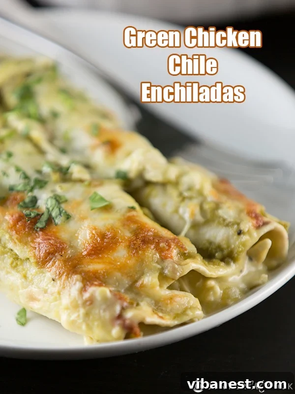 Green Chicken Chile Enchiladas Close Up Delicious Green Chile Chicken Enchiladas ready to be served
