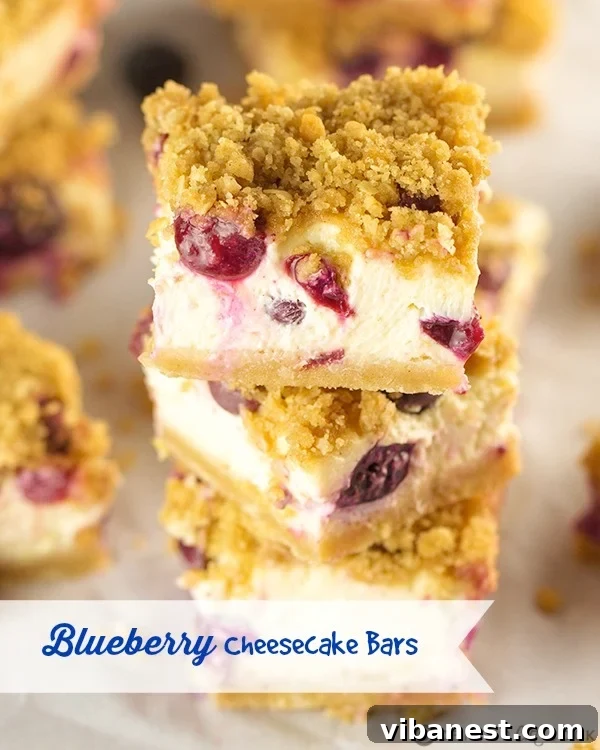 blueberry cheesecake bars 6.jpg Delightful Blueberry Cheesecake Bars with a golden streusel topping