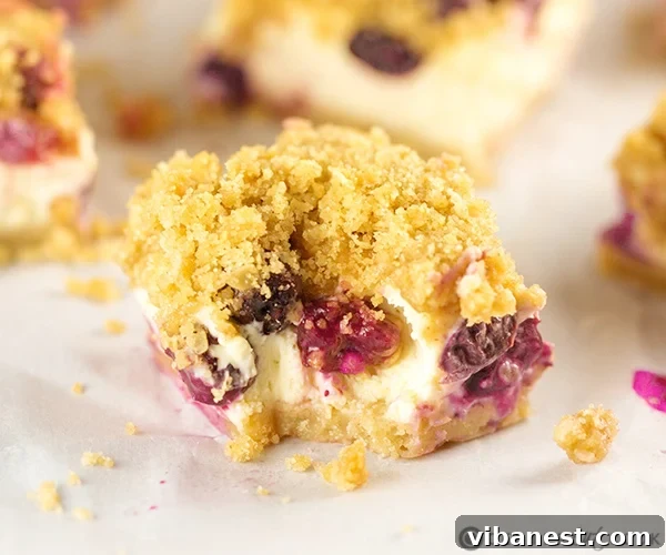 blueberry cheesecake bars 5.jpg Close-up of a single Blueberry Cheesecake Bar showing creamy texture and streusel