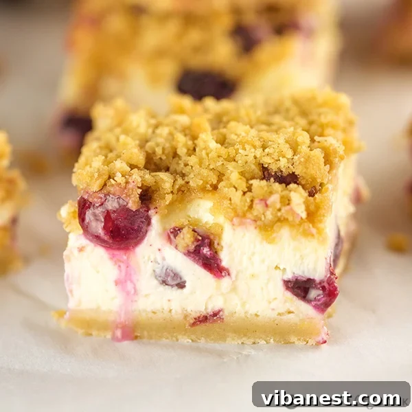 blueberry cheesecake bars 3.jpg Stack of freshly baked Blueberry Cheesecake Bars with visible blueberries
