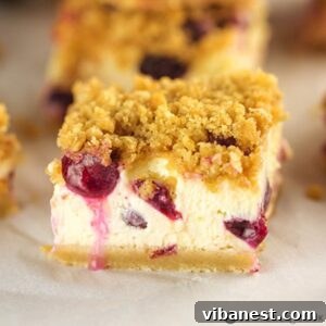 piece of blueberry cheesecake bars