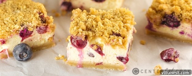blueberry cheesecake bars.jpg Close-up of a perfectly sliced Blueberry Cheesecake Bar ready to be served