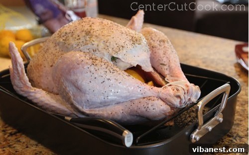 Turkey Seasoning Prep Seasoned Turkey Ready for Grill