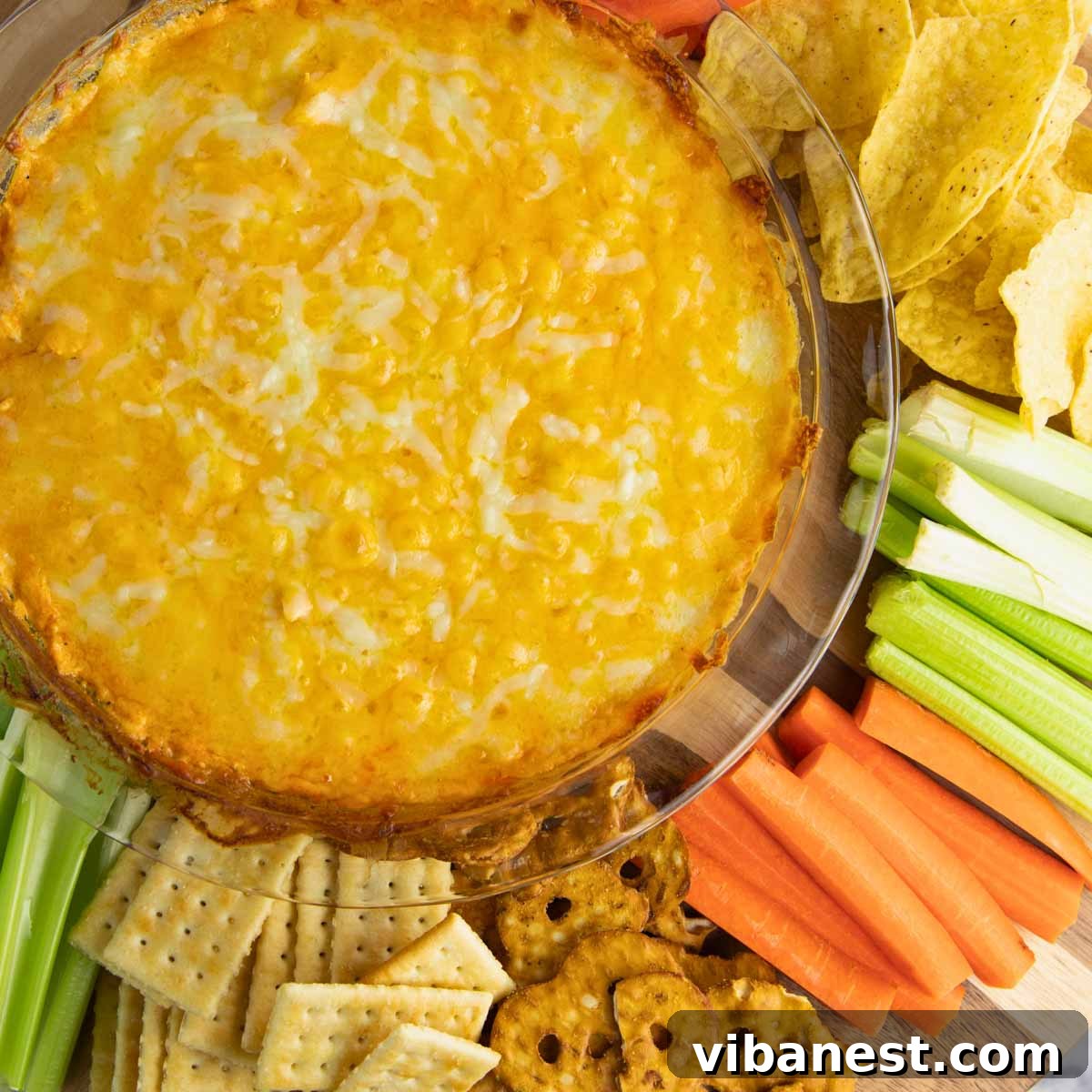 Ultimate Tangy Chicken Dip 11 ready to serve buffalo chicken dip with dippers