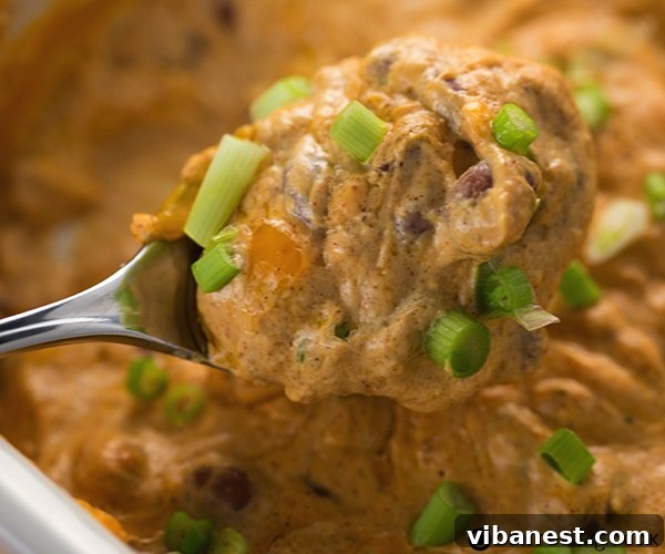 Perfectly Baked Cheesy Bean Dip Freshly baked cheesy bean dip in a ceramic dish, garnished with green onions, ready for serving