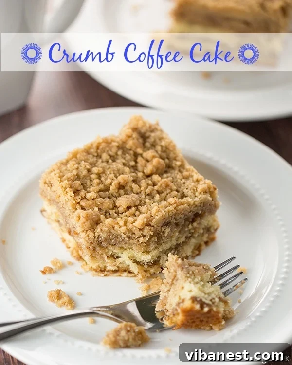 Buttery and cinnamon-spiced crumb coffee cake Delicious Crumb Coffee Cake with a generous layer of crumbles