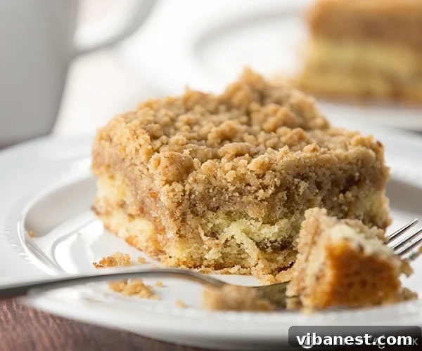 Close-up of baked crumb coffee cake with cinnamon swirl Crumb coffee cake slices showing the cinnamon swirl and thick topping