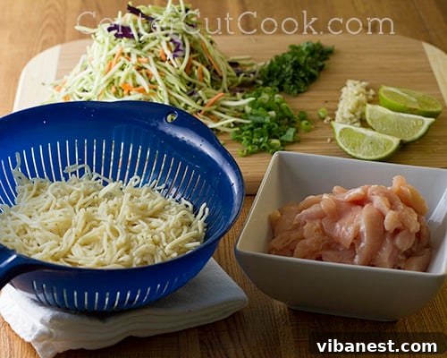 Prepped Chicken and Noodles for a Speedy Stir-Fry Pre-cooked chow mein noodles and thinly sliced chicken breast, ready for the noodle bowl stir-fry