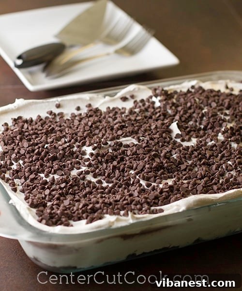 chocolate lasagna 3.jpg Close-up of a neatly sliced piece of chocolate lasagna, showing all its delicious layers.