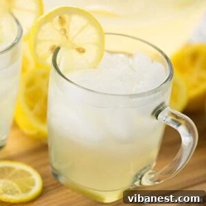 Homemade Lemonade Bliss 2 glass of perfect homemade lemonade with ice and a lemon slice