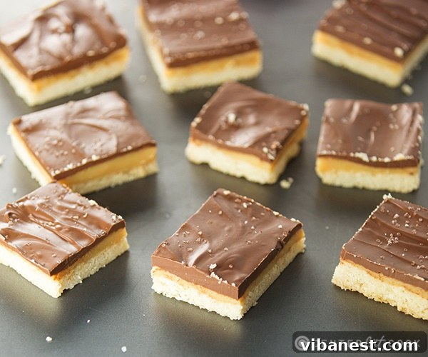 millionaire bars 4.jpg Millionaire bars cooling, showing the thick chocolate layer