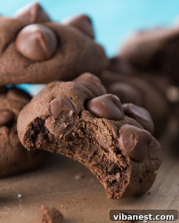 Close-up of freshly baked Double Chocolate Chip Pudding Cookies, showcasing their soft texture and chocolate chips
