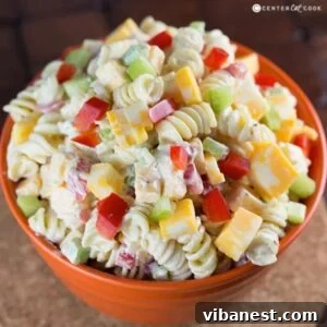 Velvety Cheddar Pasta Delight 2 bowl of creamy cheddar pasta salad