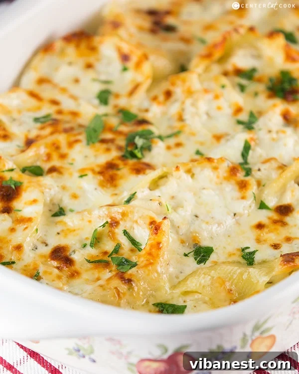 Cheesy Chicken Alfredo Stuffed Shells Cheesy chicken alfredo stuffed shells dish ready to serve