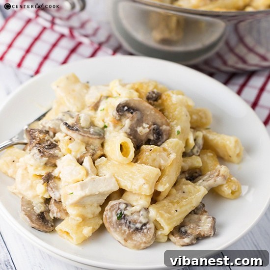 three cheese pasta bake 5.jpg Three cheese pasta bake 5