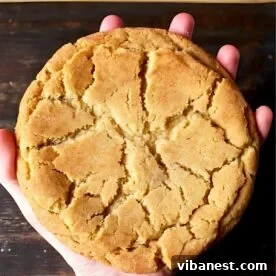 A jumbo snickerdoodle cookie with a prominent cinnamon-sugar coating, ready to be enjoyed.